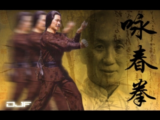 secrets of martial arts  wing chun