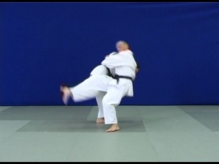 ju-do techniques