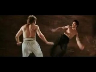 bruce lee and chuck norris (cat referee)